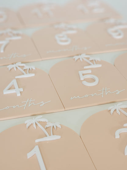 Palm Milestone Cards